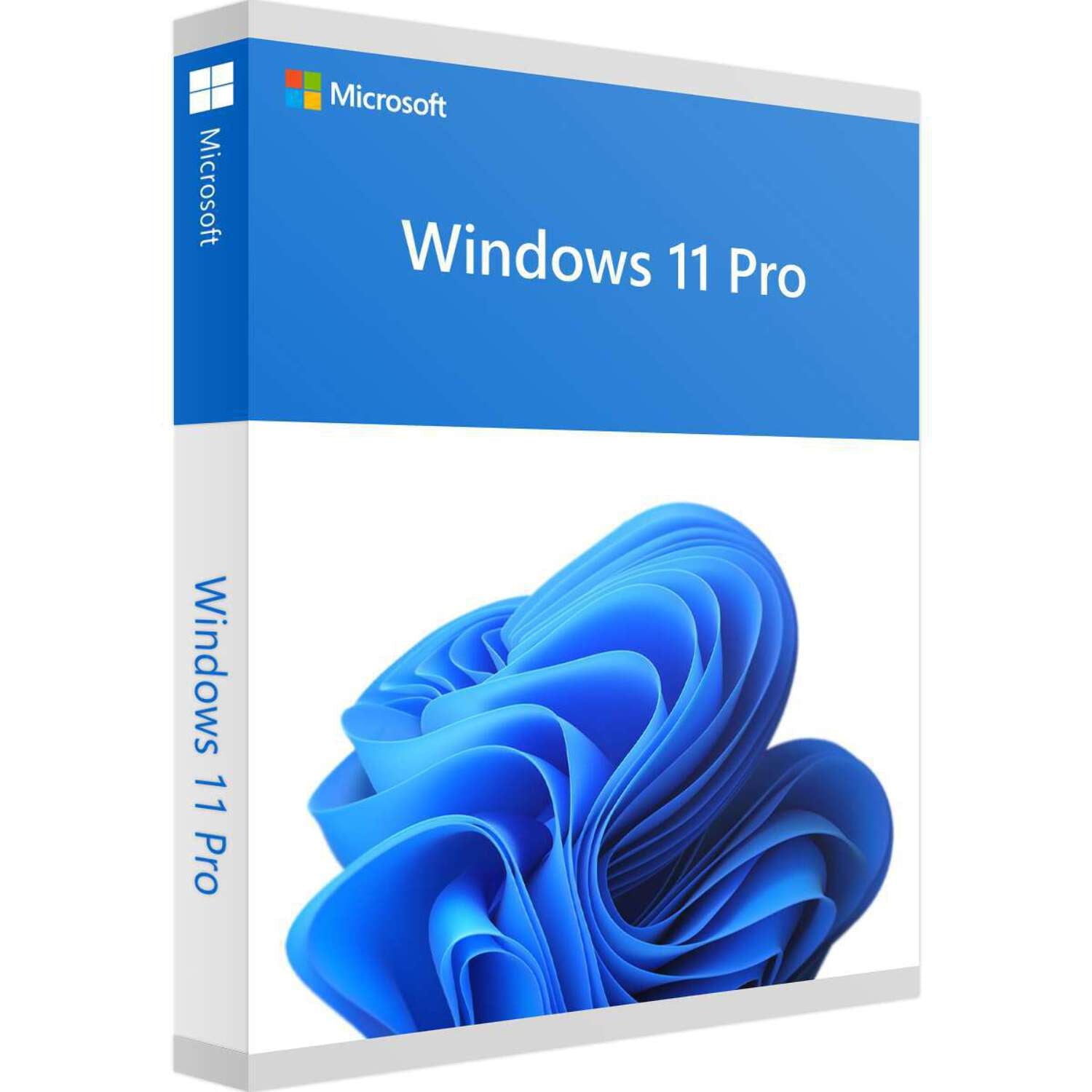 Windows 11 Professional 32/64 Bit